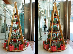 SAN CRISTOBAL SEGUROS